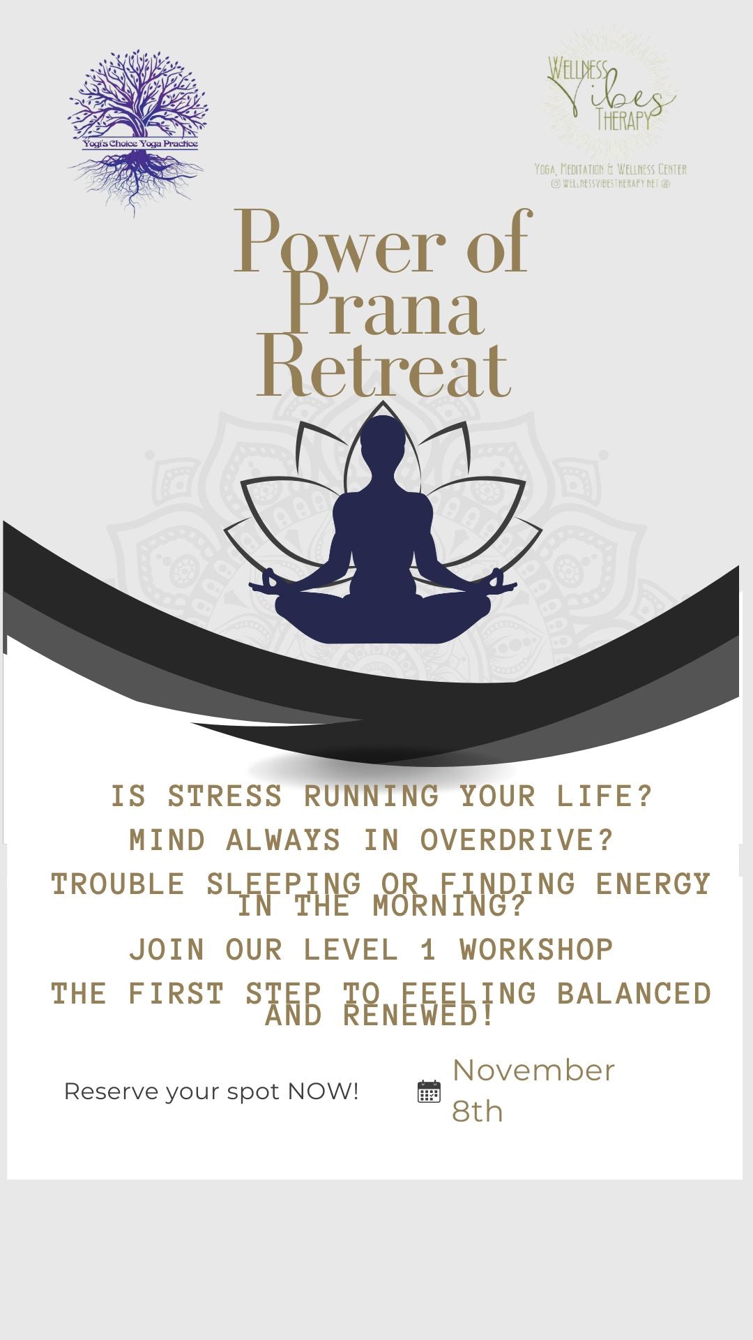 The Power of Prana Level 1 Workshop